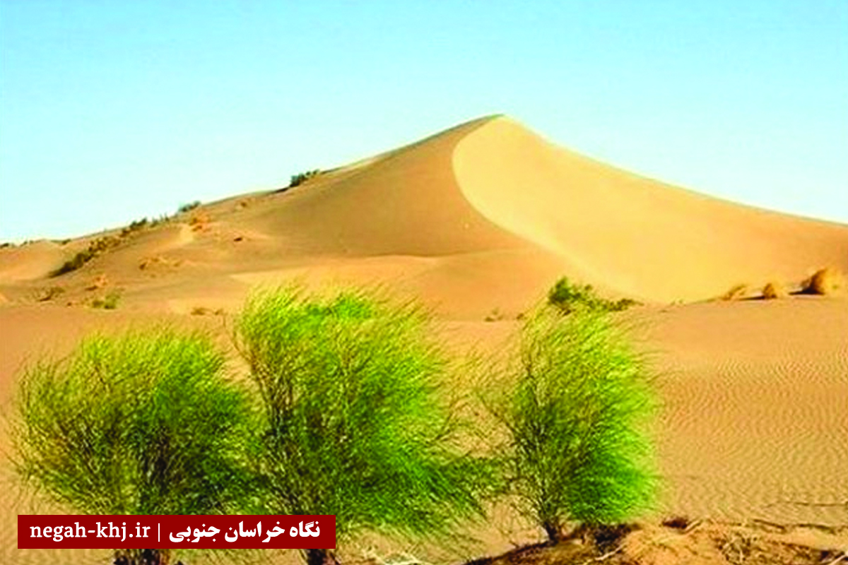 بیابان