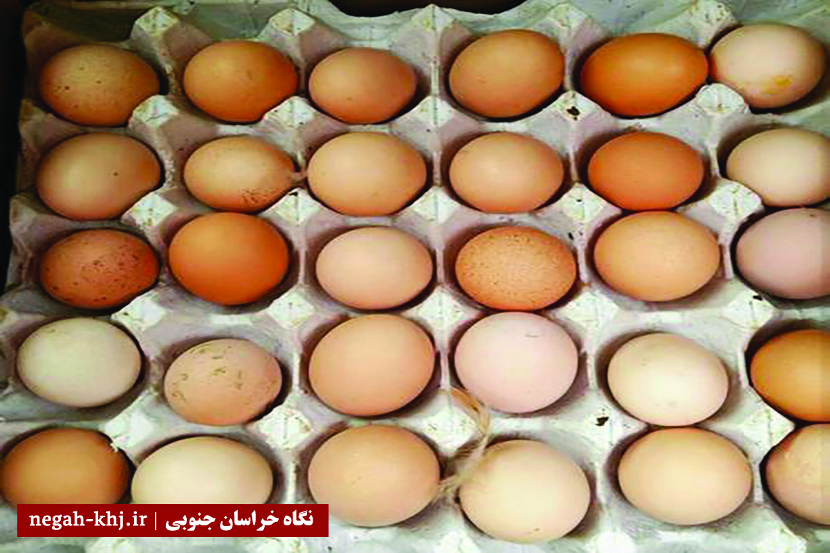 تخم مرغ