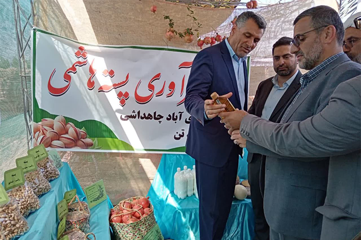 همایش استانی روز روستا