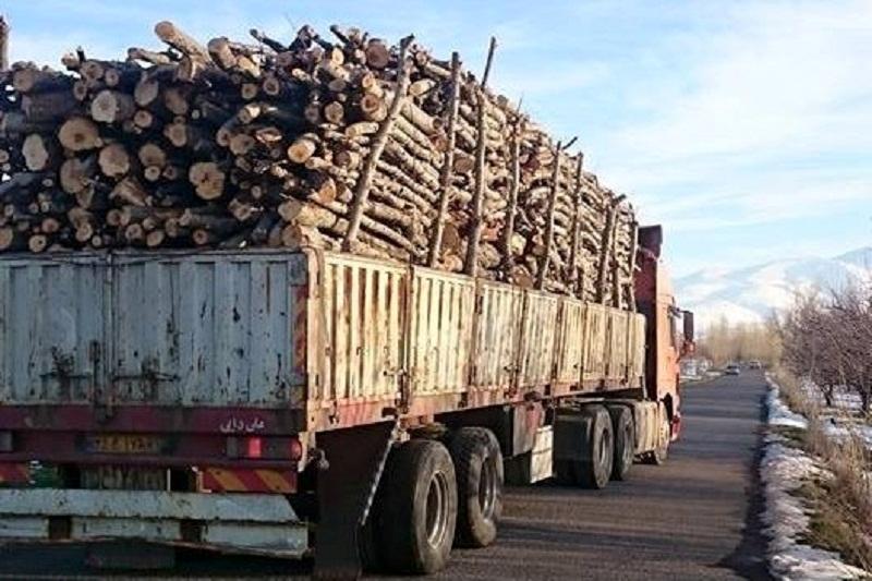 کشف ۲ تن چوب جنگلی قاچاق در فردوس