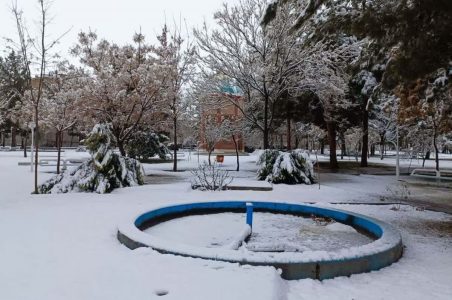 بارش برف ر خراسان جنوبی