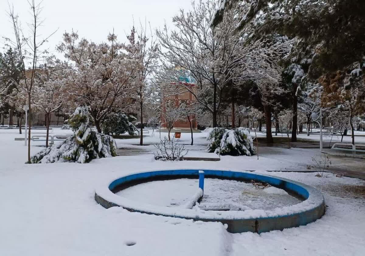 بارش برف ر خراسان جنوبی