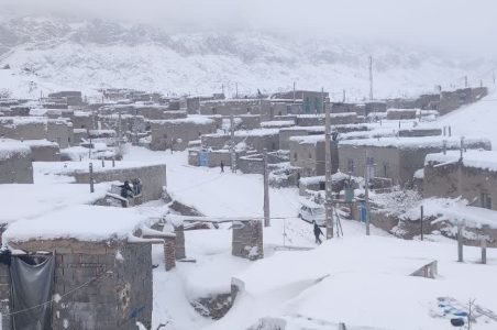 سال زراعی